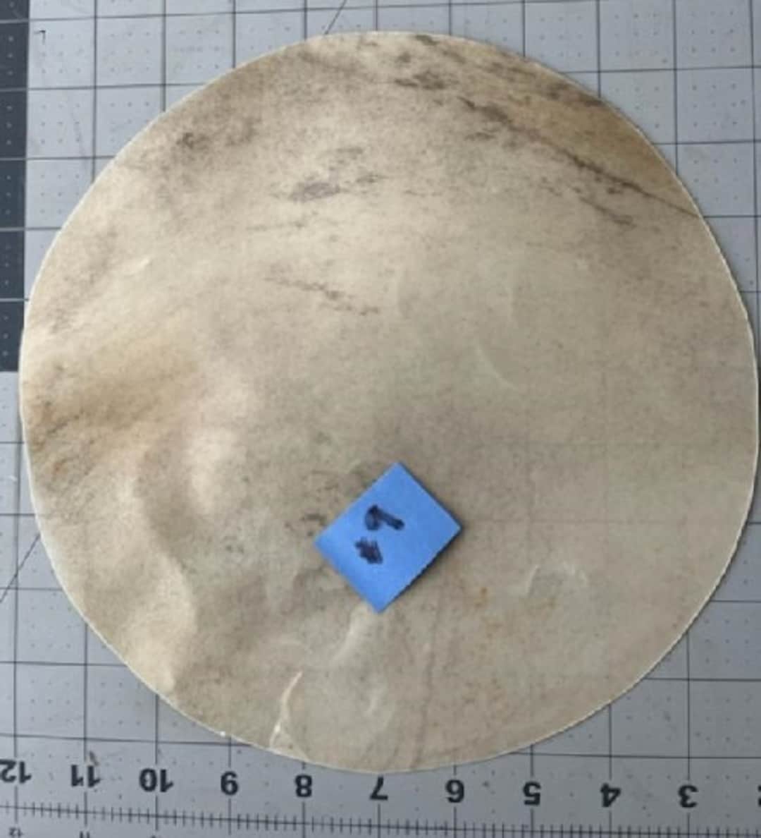 DEER 9 Cut 10 Rawhide Drum Head for Wood Frame / Gourd Etsy