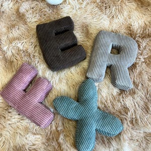 Nombre del niño en letras 3D | Decoración de habitación infantil personalizada | Letras de tela para pared, hechas a mano