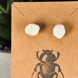 Human Teeth Stud Earrings