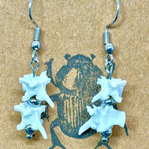 Rattlesnake Vertebrae Earrings