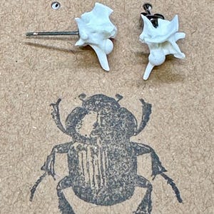Rattlesnake Vertebrae Stud Earrings