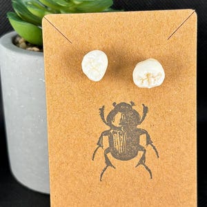 Human Teeth Stud Earrings