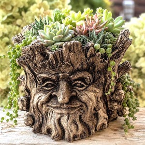 May include: A brown, textured tree stump planter shaped like an old face with a beard, filled with various green and pink succulents. Long, trailing string of pearls plants hang down from the sides of the weathered, bark-like container.