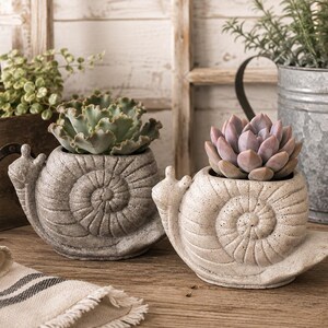May include: Two snail-shaped planters made of textured stone-like material. The left planter is dark gray and holds a ruffled green succulent. The right planter is light beige and holds a pale purple succulent. Both feature a spiral shell design.