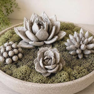 May include: A round, light-colored stone bowl filled with green moss and four gray, textured, succulent-shaped decorative objects. The arrangement includes one large, wide-petaled succulent, two smaller succulents, and one cluster of small, round spheres.