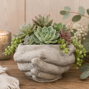 May include: A gray, textured planter shaped like two cupped hands holding a variety of green and purple succulents. The arrangement includes several rosette-shaped succulents and trailing green beads spilling over the sides of the stone-like container.