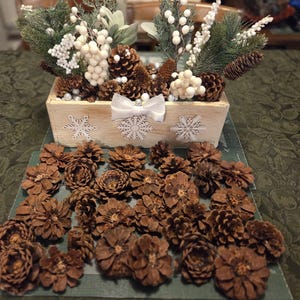 May include: A wooden box decorated with snowflakes and a white bow, filled with pine cones, white berries, and evergreen branches. Scattered around the box are numerous brown pine cones, creating a festive, seasonal display.