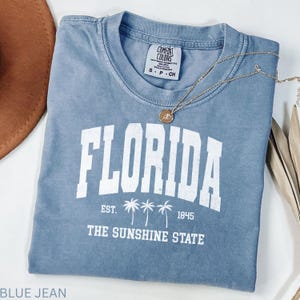 Florida Shirt Comfort Colors – Vintage Graphic Tee, The Sunshine State, Florida Gift, Palm Tree Beach Shirt, Orlando, Miami Beach Travel Tee