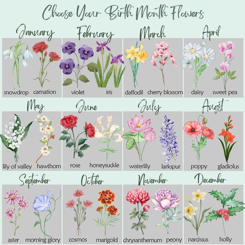 May include: A chart displaying watercolor illustrations of birth month flowers. Each month features a different flower, including snowdrop, carnation, violet, iris, daffodil, cherry blossom, daisy, sweet pea, lily of the valley, hawthorn, rose, honeysuckle, waterlily, larkspur, poppy, gladiolus, aster, morning glory, cosmos, marigold, chrysanthemum, peony, narcissus, and holly.
