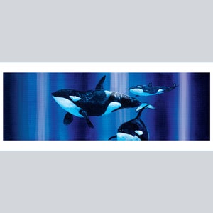 May include: A painting of three orcas swimming in a blue and purple ocean. The orcas are black and white with white markings around their eyes. The orcas are swimming in a group, with the largest orca in the front.