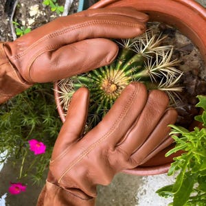 Heavy-duty garden gloves gift for men and fathers