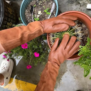 May include: Brown leather gardening gloves with long sleeves. The gloves are protecting hands from a cactus in a terracotta pot. The image also shows a white clog and pink flowers.