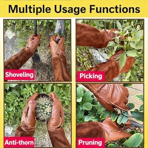 May include: Brown leather gardening gloves are shown in use for shoveling, picking, anti-thorn, and pruning. The gloves are long-sleeved and protect the hands and forearms. The image has the text "Multiple Usage Functions".