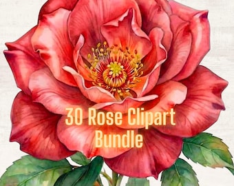 30 Coloured Rose Clipart Lilies Clipart Printable Watercolor clipart High Quality PNGs Digital download Paper craft junk journal gigi gifts