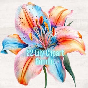 22 lirios de colores, imágenes prediseñadas de lirios, imágenes prediseñadas de acuarela imprimibles, PNG de alta calidad, descarga digital, manualidades de papel, diario basura, regalos gigi