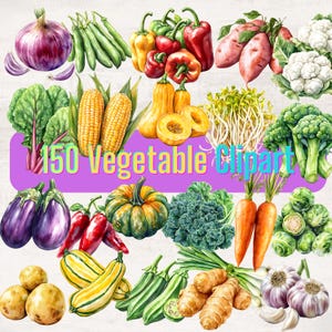 Può includere: Un'illustrazione ad acquerello di varie verdure, tra cui cipolle rosse, fagiolini, peperoni, patate dolci, cavolfiori, spinaci, mais, zucca, germogli, broccoli, melanzane, peperoncini, zucche, cavolo riccio, carote, cavoletti di Bruxelles, patate, zucchine, gombo, zenzero, aglio, e il testo "150 Vegetable Clipart".