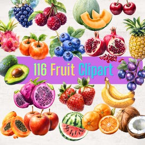 Fruit Clipart Watercolor Fruits PNG Bundle Fruit Sublimation Apple Banana Avocado Watermelon Strawberry Pear Berries PNGs Digital Download
