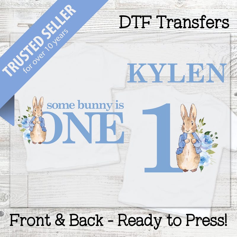 Peter Rabbit Dtf Shirt - Etsy