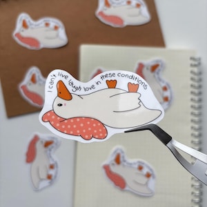 May include: A white sticker featuring a cartoon goose with an orange beak and feet, resting on a pink polka-dot pillow. The text "I can't live laugh love in these conditions" is written above the goose. Several similar stickers are visible.