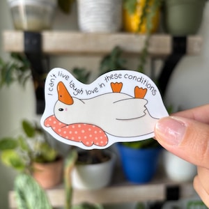 May include: A white sticker featuring a cartoon duck with an orange beak and feet, lying on a pink polka-dot pillow. The sticker has the text "I can't live laugh love in these conditions."