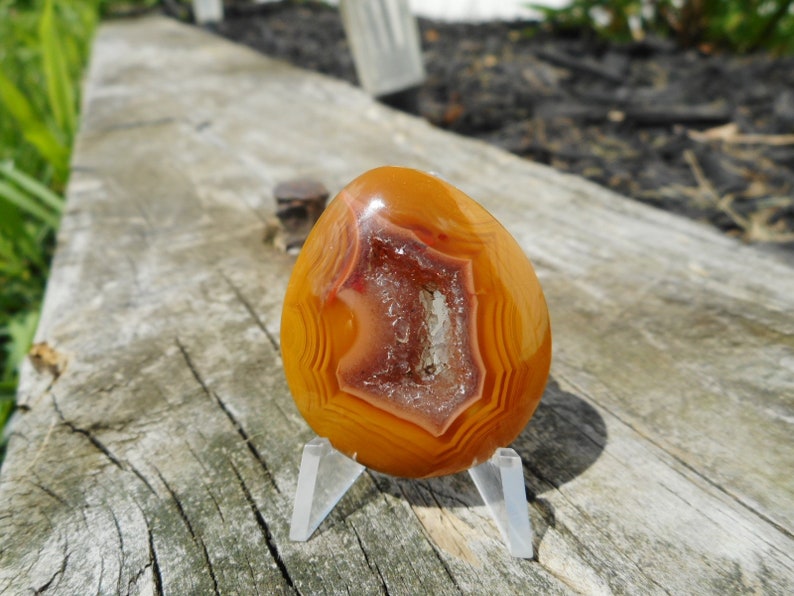 Condor Agate Cabochon CA062418
