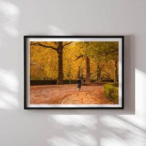 Brüsseler Herbst Druck, Belgischer Herbst Kunst Druck, Belgische Fotografie, Stadtbild Wandkunst, Brüsseler Wand-Dekor, Herbst Foto Druck