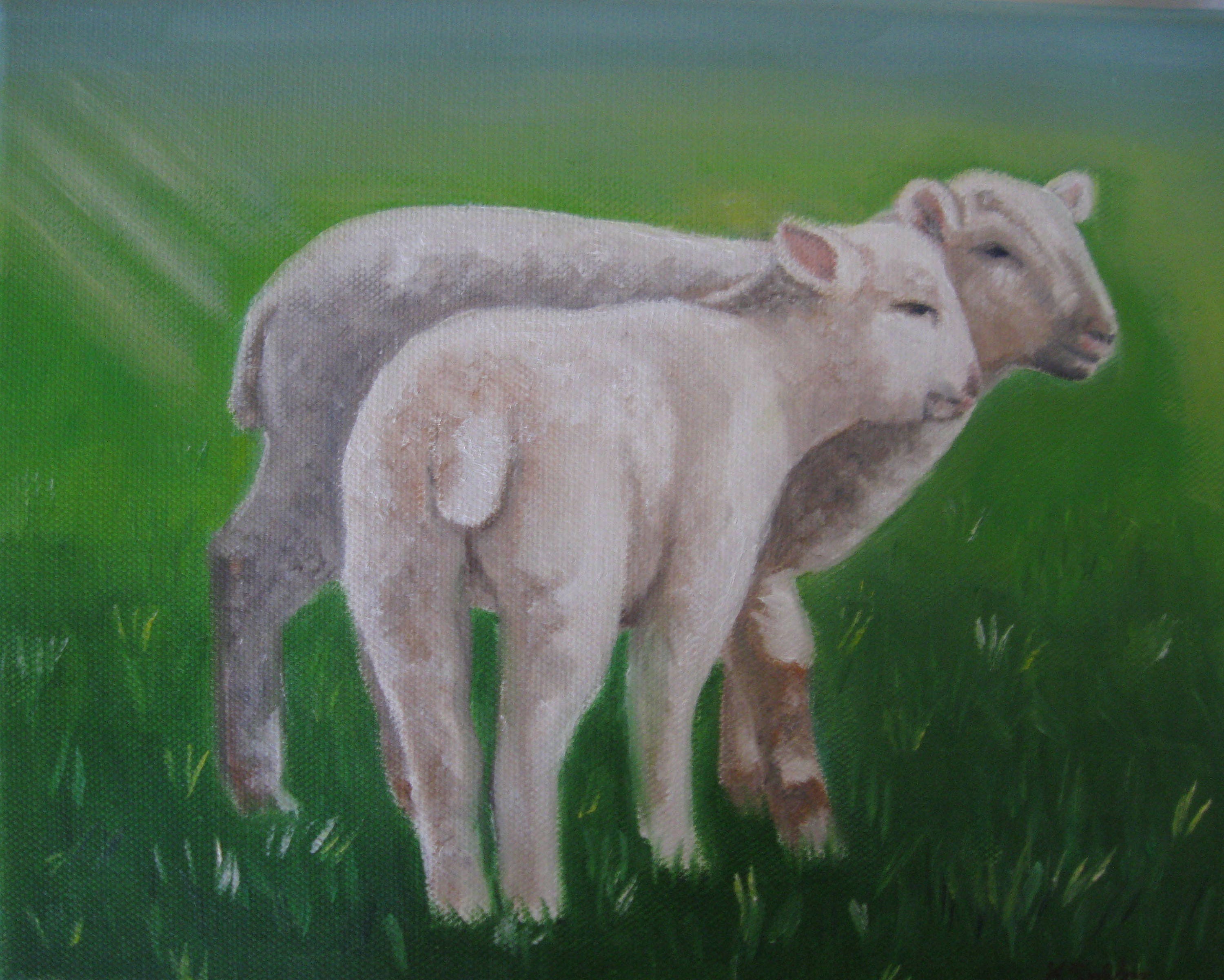 Lamb Oil Painting Sheep Art Spring Time Art Barnyard Animals Etsy