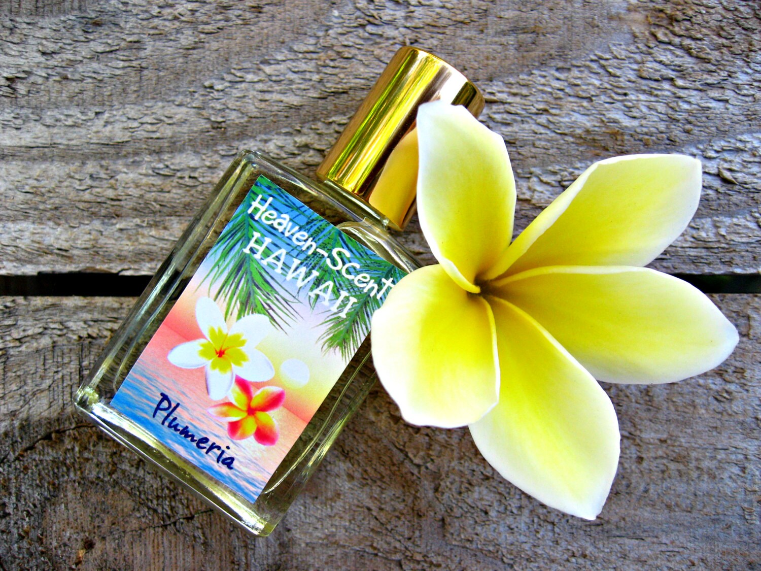 Plumeria Essential Oil Perfume and yellow plumeria flowers on the wooden  table, Stock image