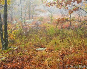 Autumn Fog On the Mina Sauk Trail 3 Fine Art Color Landscape Nature Photography of the Missouri Ozarks
