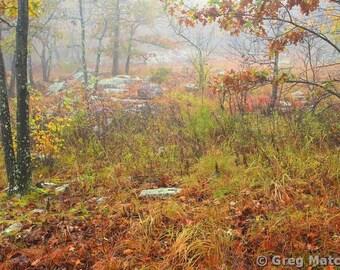 Fine Art Color Landscape Nature Photography of the Missouri Ozarks - "Autumn Fog On Taum Sauk Mountain 4"