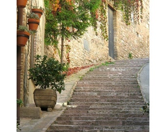 Fine Art Color Travel Photography of Assisi Italy - "Red Ivy and Steps in Assisi"