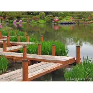 Fine Art Color Landscape Photography of Boardwalk in Springtime Along a Lake in a Japanese Garden 2