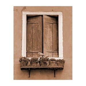 Fine Art Sepia Photography of Window and Shutters in Venice - "Shutters and Flower Pots" - Vintage Style Print