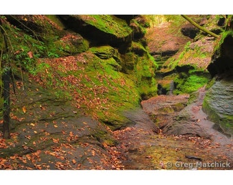 Fine Art Color Landscape Photography of Turkey Run State Park in Indiana - "Canyon Trail in Rocky Hollow 1"