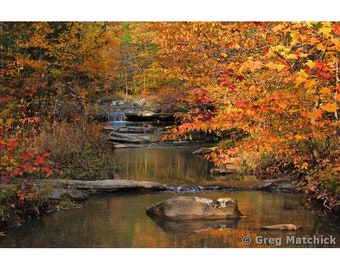Fine Art Color Landscape Nature Photography of Woodland Creek in Shawnee National Forest in Illinois - "Autumn Creek in Shawnee Forest"