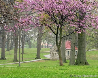 Fine Art Color Springtime Landscape Photography of Missouri - "Redbud and Building On a Misty Morning"