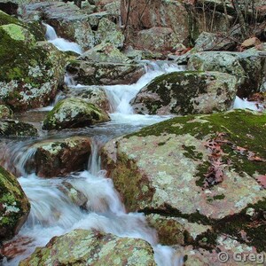 Fine Art Color Waterfall Photography of the Missouri Ozarks - &quot;Cascade on Black Mountain 1&quot;