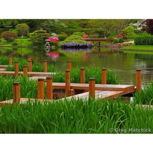 Fine Art Color Landscape Photography of Boardwalk in Springtime Along a Lake in a Japanese Garden
