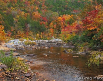 Fine Art Color Landscape Photography of Missouri Ozarks at Johnsons Shut Ins - "Fall Along the Black River 5"