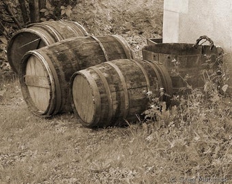Fine Art Sepia Photography of Wine Barrels in France - "Wine Barrels and Bucket"