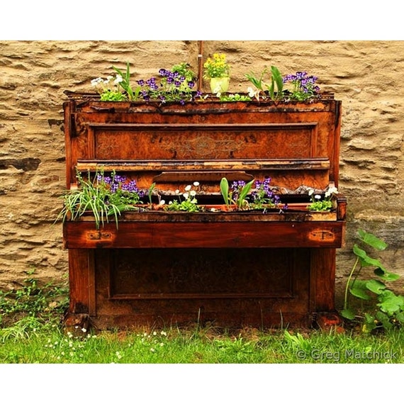Fine Art Color Travel Photography of Flowers in Piano Planter in