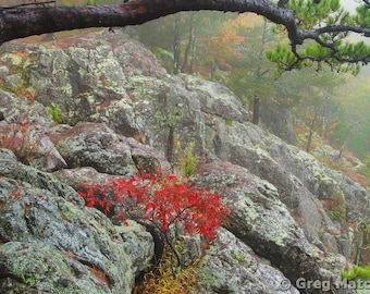 Fine Art Color Landscape Nature Photography of the Missouri Ozarks - "View Above Mina Sauk Falls In the Fog 2"