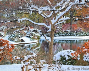 Fine Art Color Photography of Garden and Nature Scenery - Autumn Snow Along a Lake and in a Japanese Garden 2