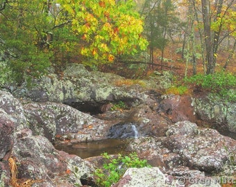 Fine Art Color Landscape Nature Photography of the Missouri Ozarks - "Autumn Fog Above Mina Sauk Falls 1"