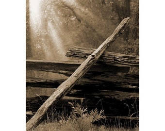 Fine Art Sepia Photography of Broken Old Wood Fence at Daybreak