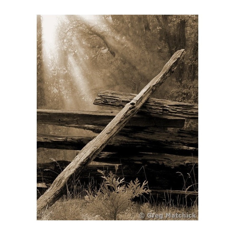 Fine Art Sepia Photography of Broken Old Wood Fence at Daybreak image 1