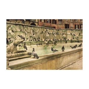 Fine Art Color Photography of Fountain in Siena Italy  - &quot;Pigeons at the Fountain of Joy&quot; Vintage Style Print