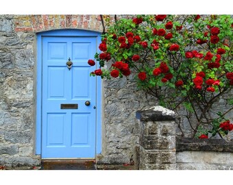 Fine Art Color Irish Travel Photography of Blue Door and Red Roses in Adare Ireland