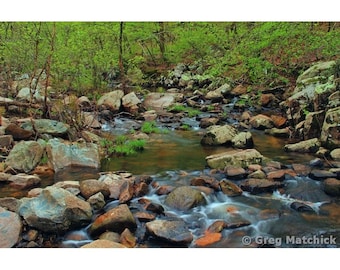 Fine Art Color Landscape Photography of Hawn State Park in Missouri - "Pickle Creek In Springtime 2"