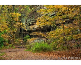 Fine Art Color Fall Landscape Nature Photography of Starved Rock State Park in Illinois - "Basswood Canyon in Autumn"